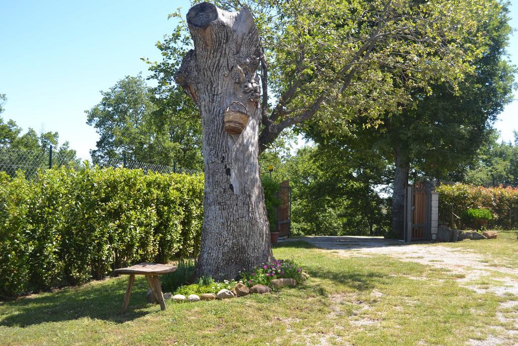 Hotel Al Bosco Delle Api à Gallicchio Extérieur photo