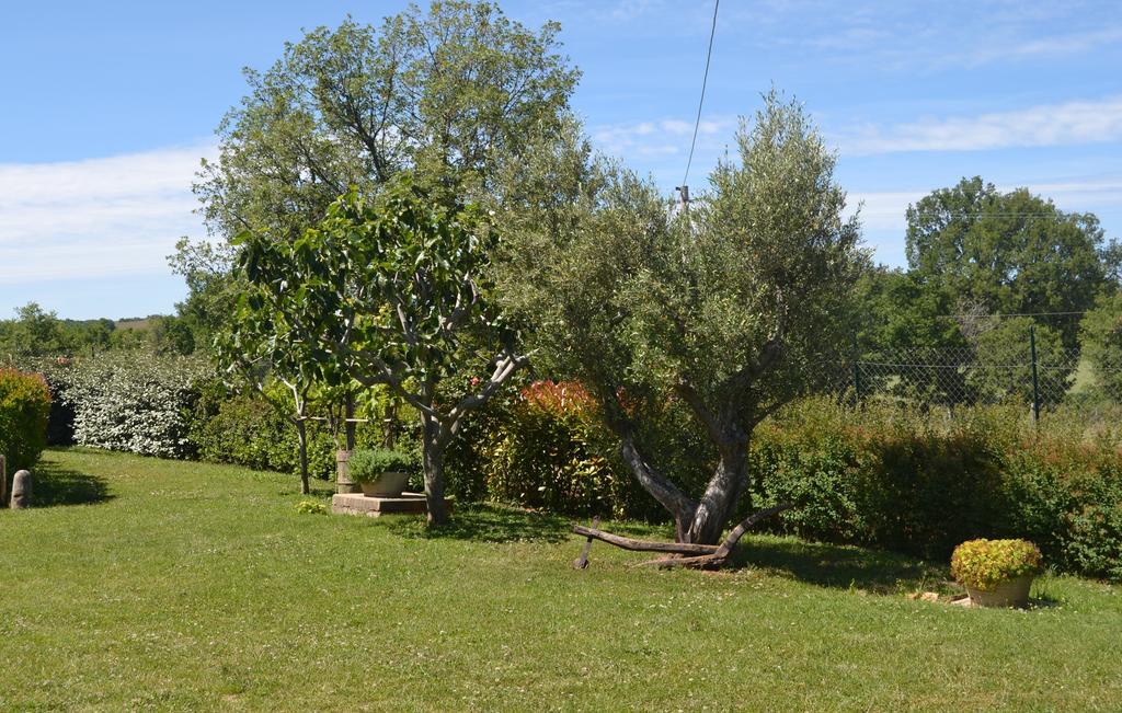 Hotel Al Bosco Delle Api à Gallicchio Extérieur photo